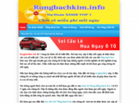 rongbachkim.info Webseite Vorschau