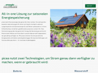 energie-haldimann.ch Webseite Vorschau