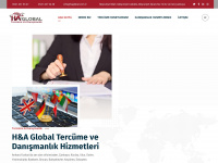 haglobal.com.tr Webseite Vorschau