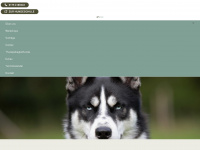 workshops-mit-hund.de Webseite Vorschau