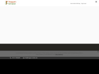 treppen-schulze.de Webseite Vorschau