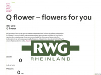 q-flower.de Webseite Vorschau