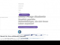 onlinepflegeakademie.de Webseite Vorschau