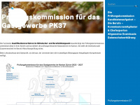 abschlussprüfung.ch Webseite Vorschau