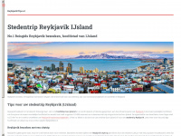 reykjaviktips.nl Webseite Vorschau