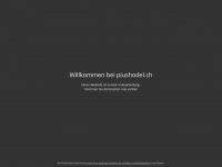 piushodel.ch Webseite Vorschau