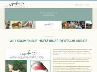 hufseminar-deutschland.de Webseite Vorschau
