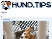 hund.tips Webseite Vorschau