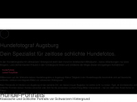 hundefotograf-augsburg.de Webseite Vorschau