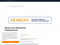 hamelspringe.com Webseite Vorschau