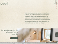 wieserhof-aldein.it Webseite Vorschau