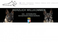 og-guenzburg.de Webseite Vorschau