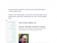 paterthomashaeberle.ch Webseite Vorschau