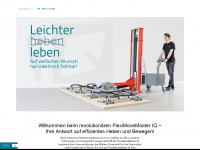 fleximovemaster.com Webseite Vorschau