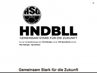 hsg-hs.de Webseite Vorschau