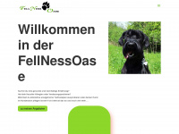 fnoase.ch Webseite Vorschau