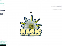 magicmushroomsdelivery.co Webseite Vorschau