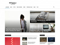 diggy.dk Webseite Vorschau