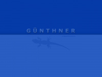 guenthner-service.de Webseite Vorschau
