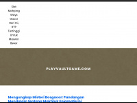 playvaultgame.com Webseite Vorschau