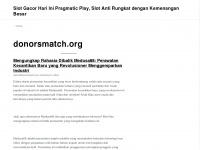 donorsmatch.org Webseite Vorschau