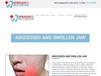 emergencydentalinhouston.com Webseite Vorschau