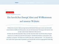 ig-dampfwalensee.ch Webseite Vorschau