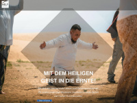 helpinternational.org Webseite Vorschau