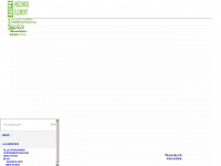 heizungselement.com Webseite Vorschau