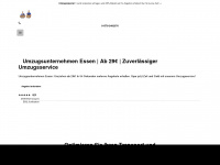 lager-umzuege.de Webseite Vorschau