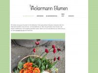 ackermannblumen.ch Webseite Vorschau