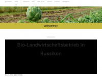 bundbbiogemuese.ch Webseite Vorschau