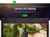 lernen-mit-feeling.ch Webseite Vorschau