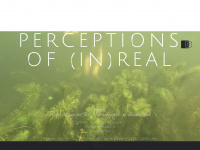 perception-of-in-real.com Webseite Vorschau