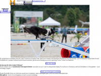 hundesport.dog Webseite Vorschau