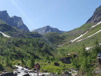 wildes-trekking.ch Webseite Vorschau