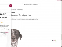 stylesnout.de Webseite Vorschau