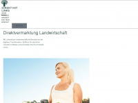 direkt-mit-links.de Webseite Vorschau