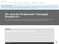 fv-transrapid.de Webseite Vorschau