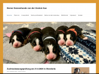 berner-unstrutaue.de Webseite Vorschau