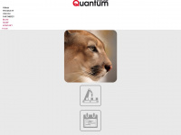 quantum-software.com Webseite Vorschau