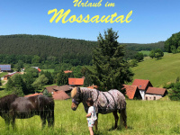 urlaub-im-mossautal.de Webseite Vorschau