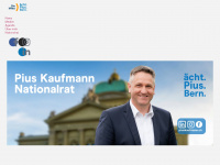 piuskaufmann.ch Webseite Vorschau