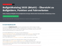 derbussgeldkatalog.org Webseite Vorschau