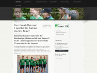 faustball-herrnwahlthann.com Webseite Vorschau