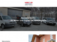 mercuri-gips.ch Webseite Vorschau