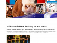 peter-salvisberg.ch Webseite Vorschau