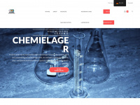 chemicinternational.com Webseite Vorschau