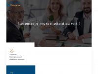 ecoconseil-entreprise.be Webseite Vorschau