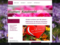 kaufmehl.de Webseite Vorschau